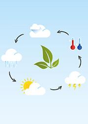 Syngenta Spritzwetter