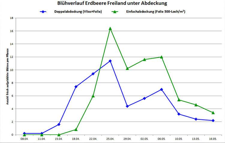 Blühverlauf Einfach- und Doppelabdeckung im Vergleich