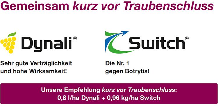 Gemeinsam kurz vor Traubenschluss