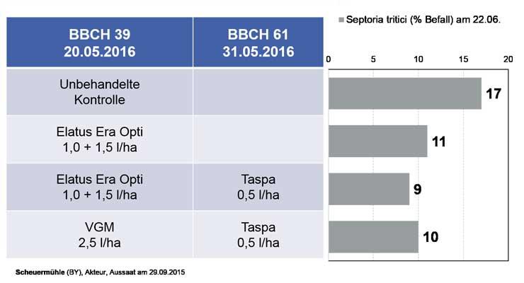 Elatus Era - Septoria Befall in Winterweizen