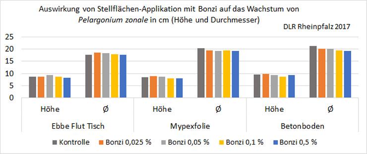 Stellflächen-Applikation mit Bonzi