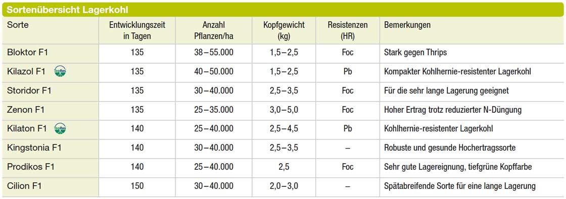 Sortenübersicht Lagerkohl