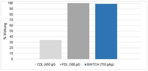 Erdbeeren Switch CDL Resistenz