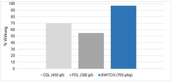 Erdbeeren Switch MDR1 Resistenz