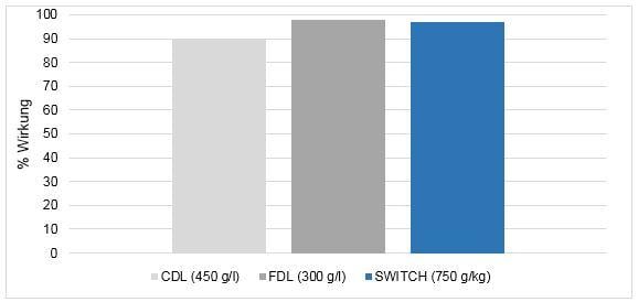 Erdbeeren Switch Wildstamm