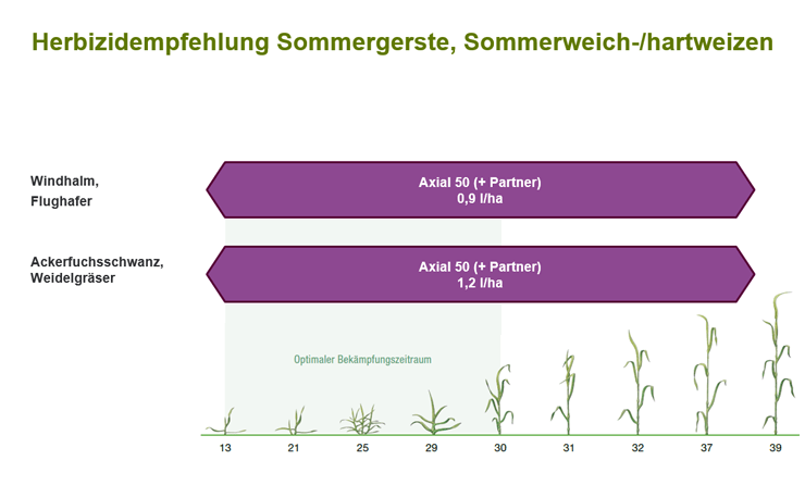 Herbizidempfehlung Sommergetreide 2018