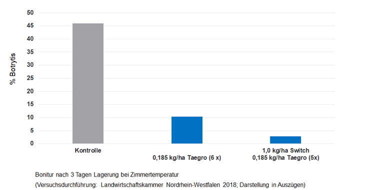 Taegro Versuch