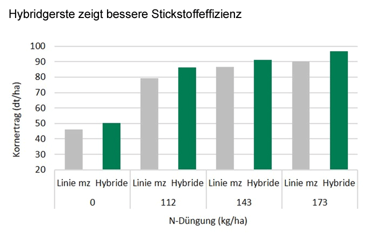 Hyvido Stickstoffeffizienz 2019
