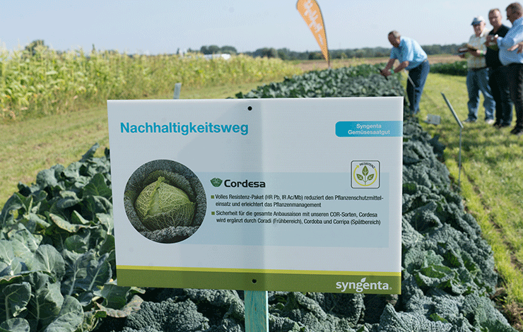 Gemüsebaufeldtag Nachhaltigkeitsweg 2021