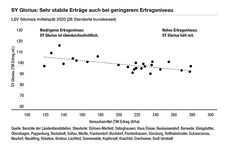 SY Glorius: Sehr stabile Erträge auch bei geringerem Ertragsniveau