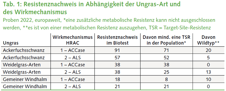 Tab. 1: Resistenznachweis in Abhängigkeit der Ungras-Art und des Wirkmechanismus