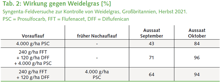 Wirkung gegen Weidelgras