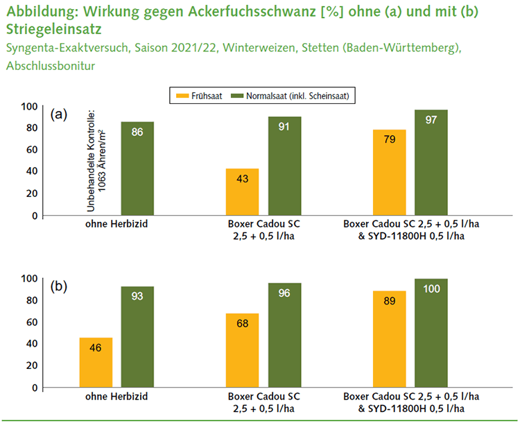 Wirkung gegen Ackerfuchsschwanz