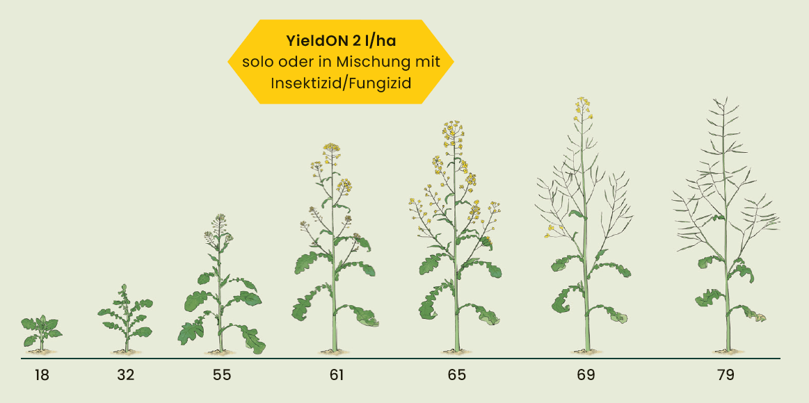 Anwendung YieldON