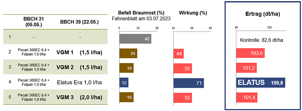 Feldversuch Braunrost