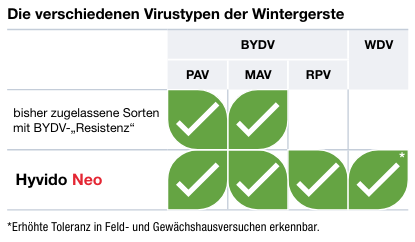 Virustypen in Wintergerste