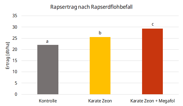 Rapsertrag nach Rapserdflohbefall - Megafol + Karate Zeon