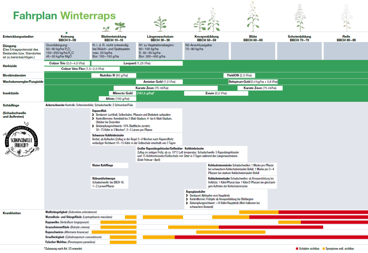 Fahrplan Winterraps 2025