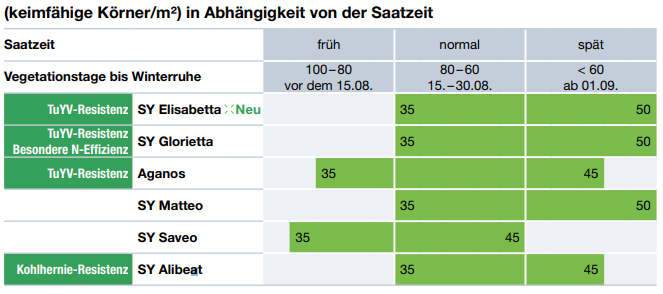 Saatstärke Winterraps