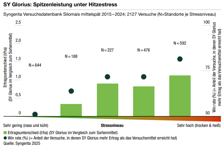 SY Glorius: Spitzenleistungen bei Hitzestress