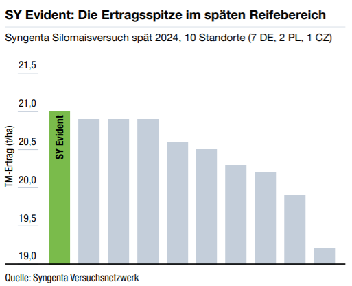 SY Evident: Erragsspitze im späten Reifebereich