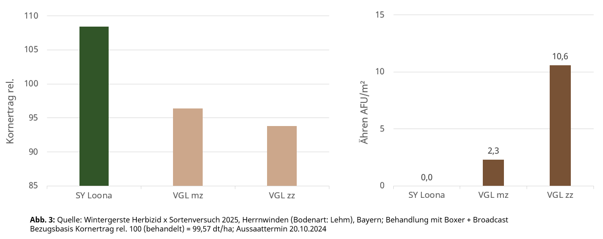 Hyvido AFU-Unterdrückung durch Spätsaat