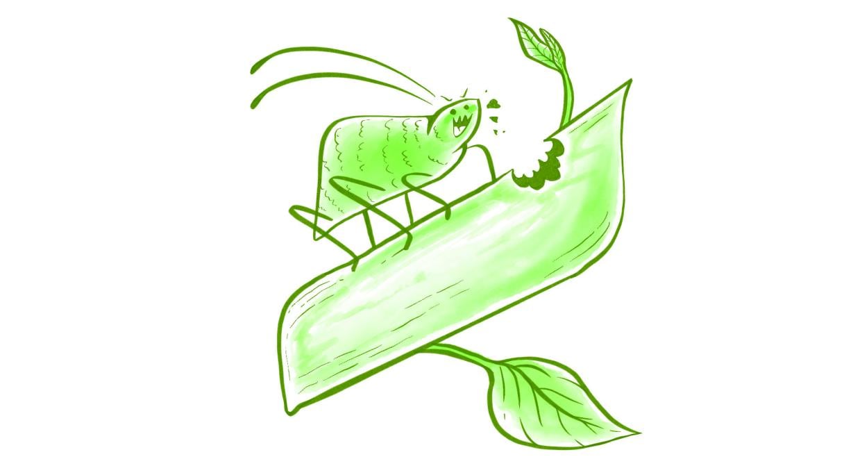 Illustration einer Blattlaus