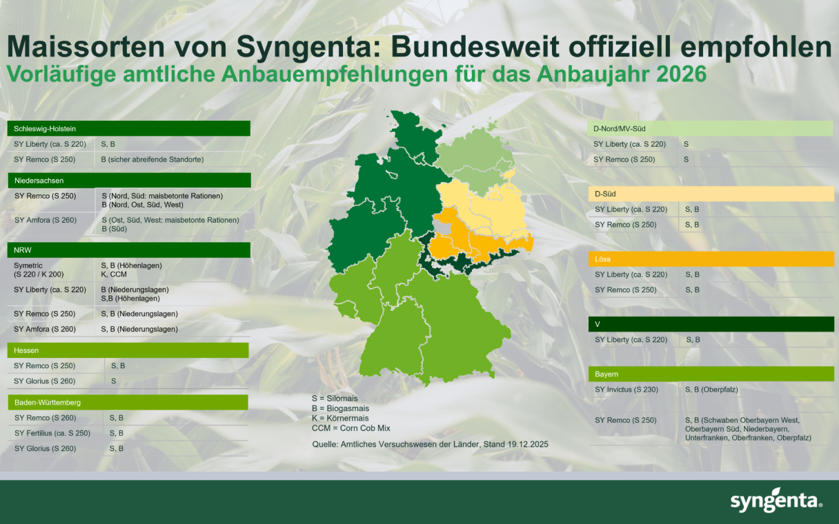 Maissorten von Syngenta: Bundesweit offiziell empfohlen!