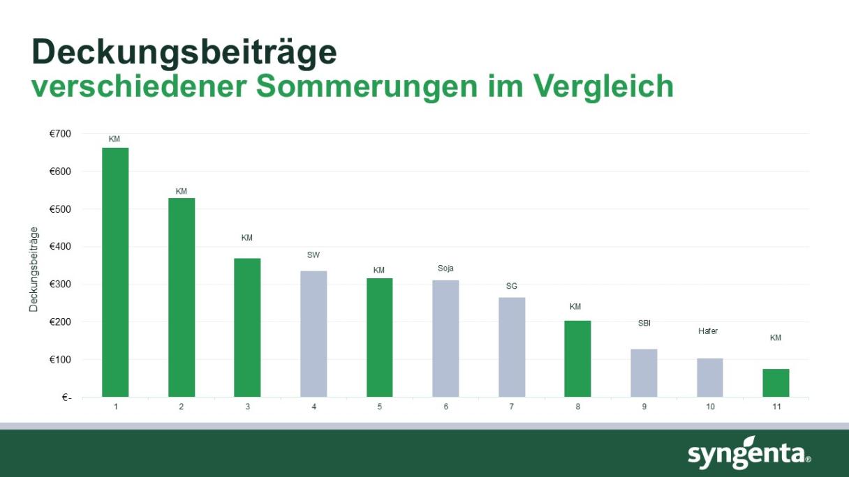 Deckungsbeiträge Sommerungen 2026