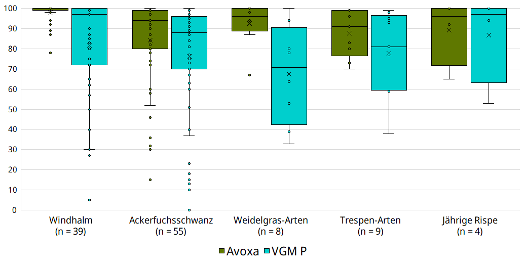 Avoxa ist stabil gegen Ungräser