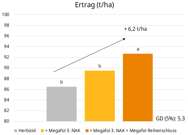 Ertrag in der Zuckerrübe mit Megafol