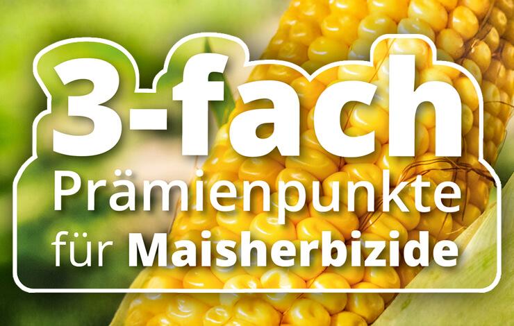 3-fach Prämienpunkte für Maisherbizide