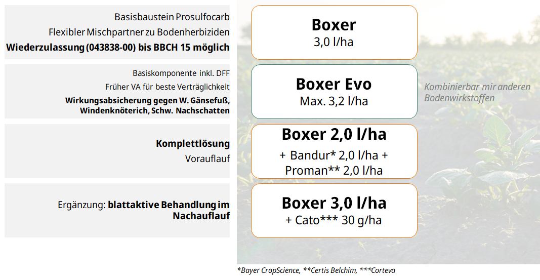 Syngenta Herbizidempfehlung Kartoffeln