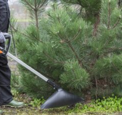 Einsatz von Spritzschirmen zum sicheren Einsatz von Herbiziden