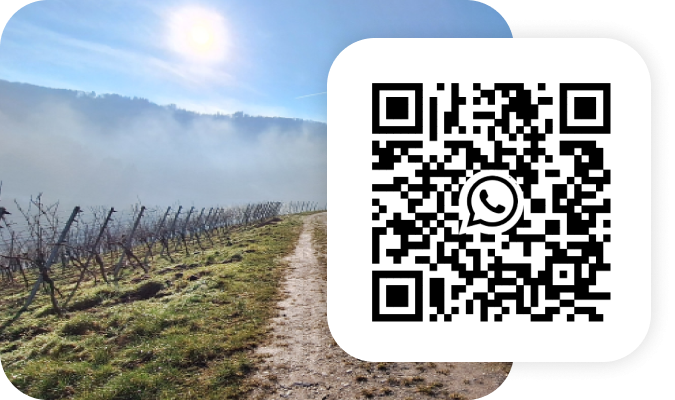 Rebschutz-Info - WhatsApp Kanal