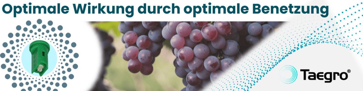 Gewinnspiel Weinbau-Düsen