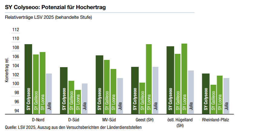 SY Colyseoo: Potenzial für Hochertrag
