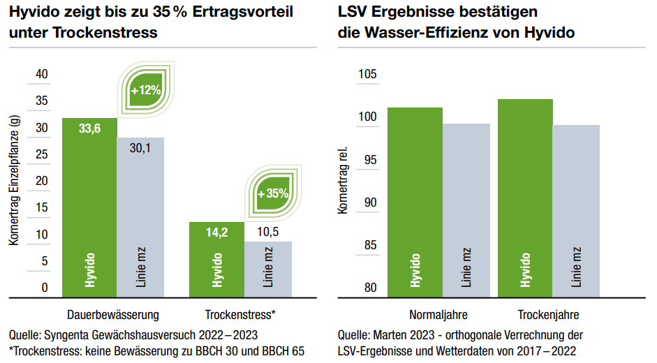 Balkendiagramm: Hyvido Ertrgasvorteil unter Trockenstress