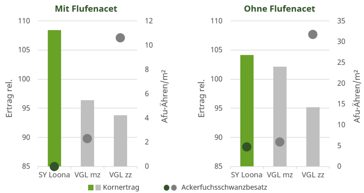 Balkendiagramm zur Flufenacet mit zwei Gruppen: mit und ohne 
