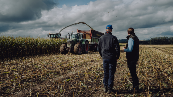 Zwei Personen auf abgeerntetem Feld, Traktor und Anhänger im Hintergrund, bewölkter Himmel, Maisernte