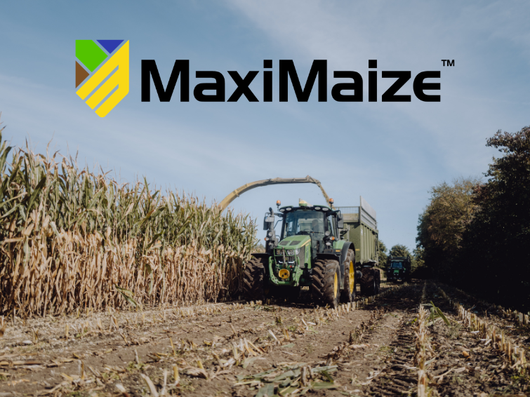 Maisernte und MaxiMaize Logo