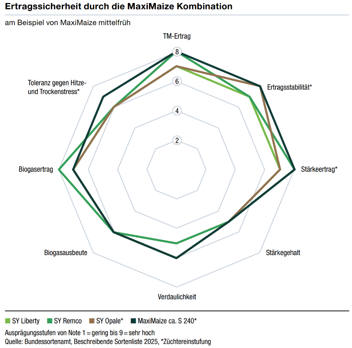 Radar-Diagramm zur Ertragssicherheit der Maximaize-Kombination mit Vergleichslinien