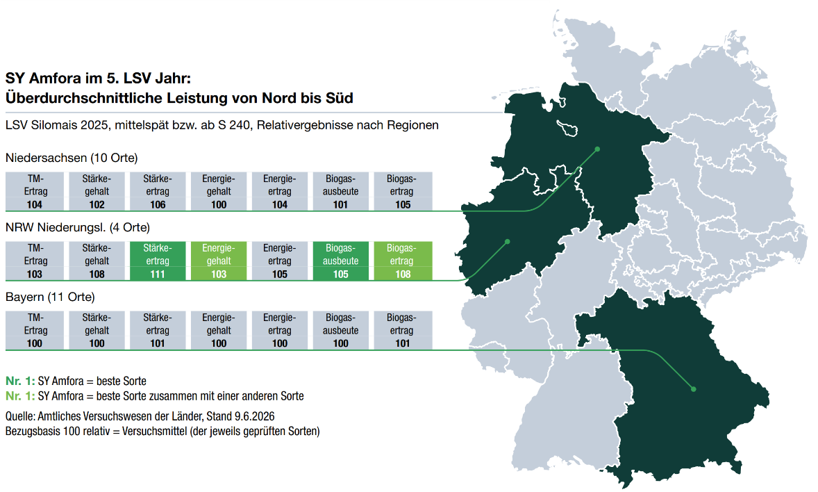 SY Amfora im 5. LSV Jahr:  Überdurchschnittliche Leistung von Nord bis Süd