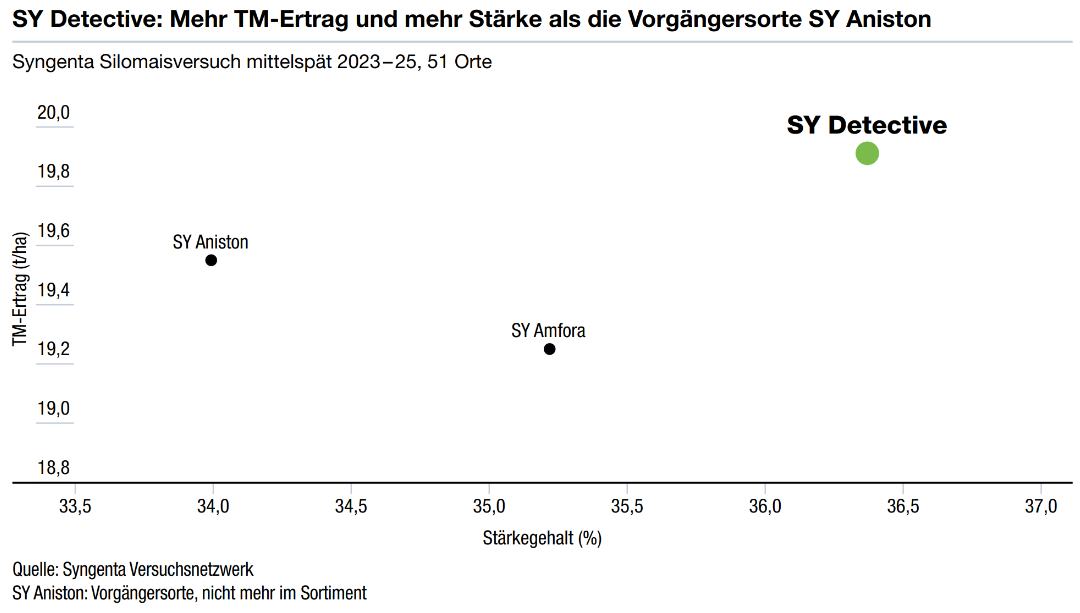 SY Detective: Mehr TM-Ertrag und mehr Stärke als die Vorgängersorte SY Aniston