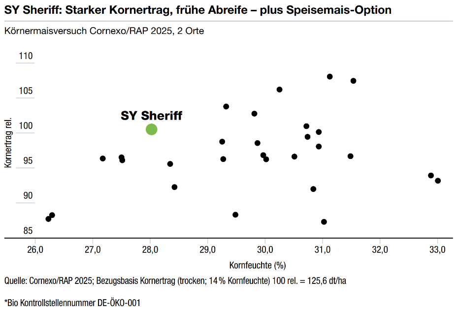 SY Sheriff: Starker Kornertrag, frühe Abreife – plus Speisemais-Option