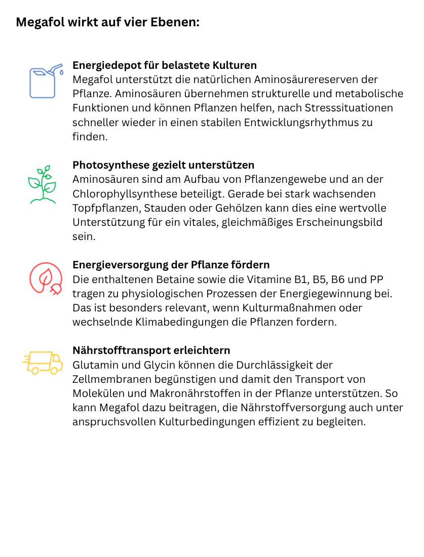 Infografik mit Tipps zur Vorbeugung von Burnout, mit Icons und farbigen Überschriften