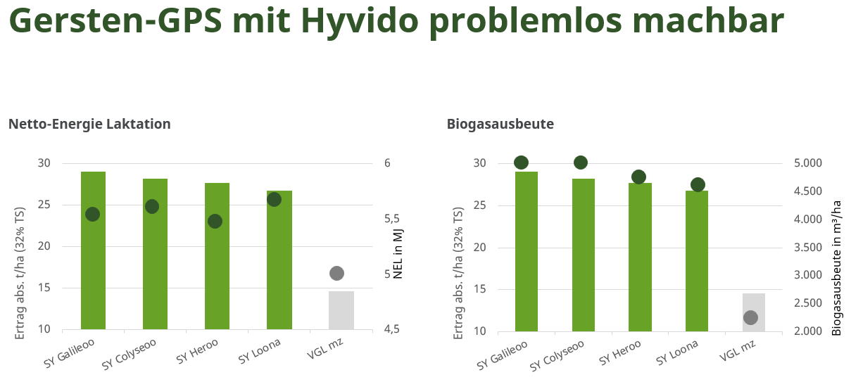 Balkendiagramme zu Gersten-GPS mit Hyvido, Vergleich mehrerer Sorten und Messwerte