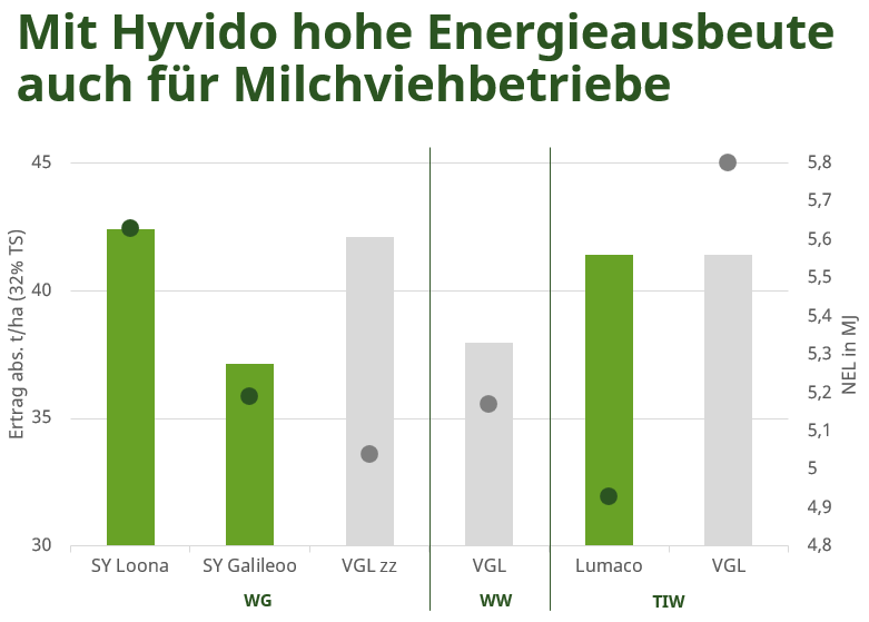 Balkendiagramm zur Hyvido-Energieausbeute in Milchviehbetrieben, grüne Balken und graue Punkte