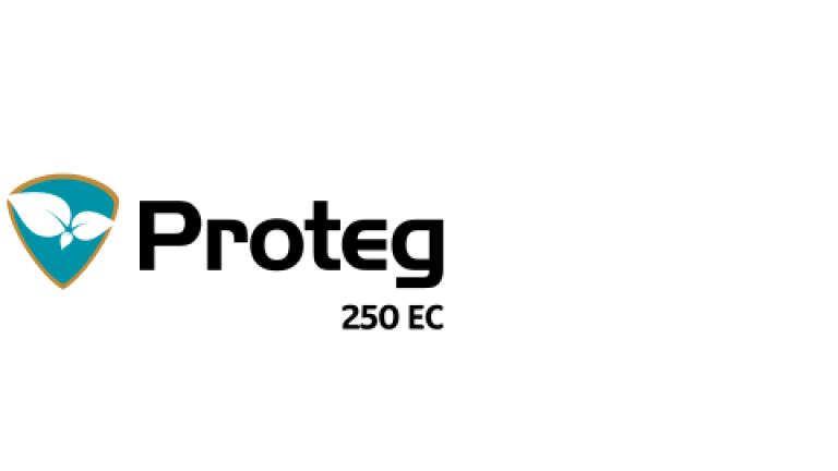 Proteg 250 EC