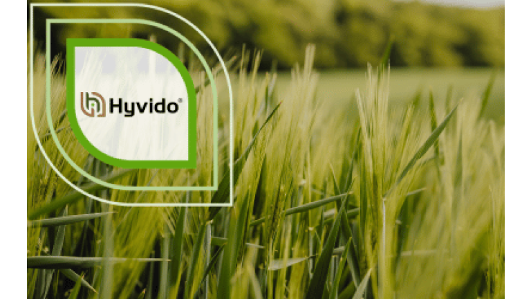 Jettoo Hybridgerste